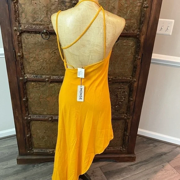 Monse dress 4